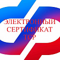ТСР по электронному сертификату ТСР по электронному сертификату